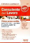 Visualizza la scheda completa